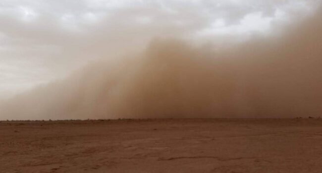 La concentración de polvo del desierto en el aire ha aumentado hasta un 25 % en Europa