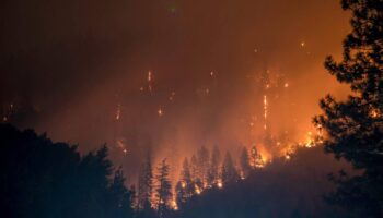 La exposición a incendios forestales durante el embarazo perjudica a los bebés
