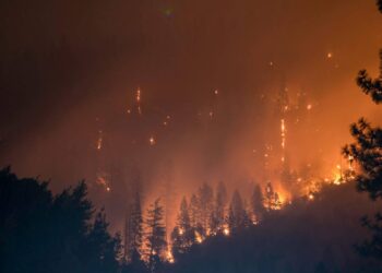 La exposición a incendios forestales durante el embarazo perjudica a los bebés