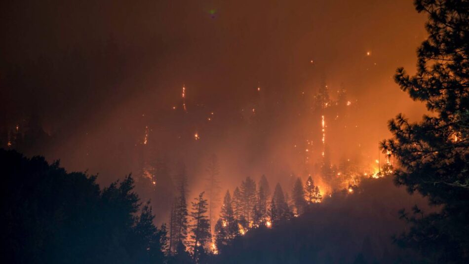 La exposición a incendios forestales durante el embarazo perjudica a los bebés