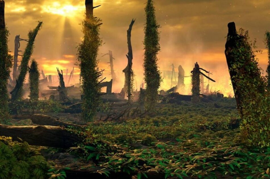 Los incendios arrasaron Europa durante la extinción masiva del Triásico