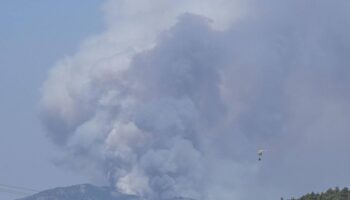 Ocho actuaciones para mejorar la gestión del riesgo de incendio y proteger a la población