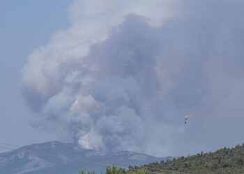 Ocho actuaciones para mejorar la gestión del riesgo de incendio y proteger a la población
