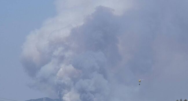 Ocho actuaciones para mejorar la gestión del riesgo de incendio y proteger a la población