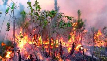 Al menos siete departamentos franceses afectados por incendios