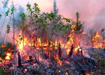 Al menos siete departamentos franceses afectados por incendios