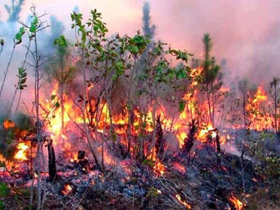 Al menos siete departamentos franceses afectados por incendios