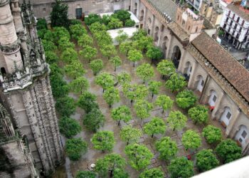 IU Sevilla exige al Ayuntamiento que frene la apropiación de espacio público por parte del Cabildo en el entorno del Patio de los Naranjos
