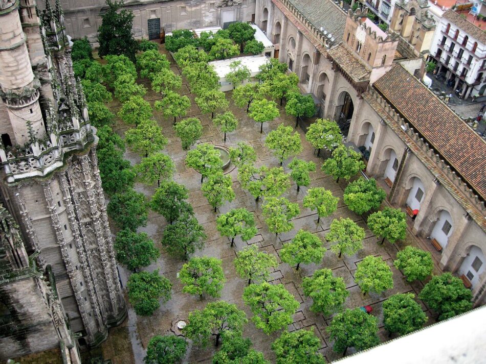 IU Sevilla exige al Ayuntamiento que frene la apropiación de espacio público por parte del Cabildo en el entorno del Patio de los Naranjos
