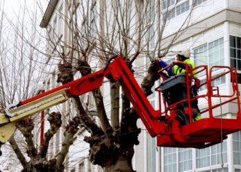 A poboación activa reduciuse en Galiza en 21.000 persoas no 2º trimestre do ano