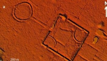Una antigua civilización de millones de habitantes prosperó en la Amazonia