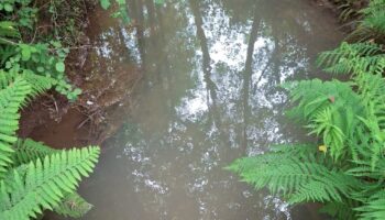 Crónica dunha ferida ambiental: A veciñanza como escudo dos ríos de Touro fronte ao fracaso mineiro