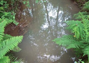 Crónica dunha ferida ambiental: A veciñanza como escudo dos ríos de Touro fronte ao fracaso mineiro