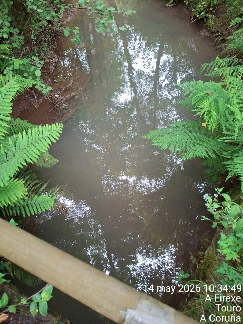 Crónica dunha ferida ambiental: A veciñanza como escudo dos ríos de Touro fronte ao fracaso mineiro