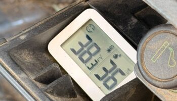 CGT denuncia diversos cops de calor a Parcs i Jardins de Barcelona que «es podrien haver evitat»