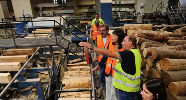 Ana Pontón urxe frear a eucaliptización de Galiza e planificar un monte ordenado e multifuncional para combater os lumes