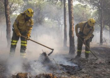 CCOO traslada su pésame por las víctimas del incendio de Los Gallardos: “Las políticas de prevención son insuficientes. Habrá que analizar qué ha fallado para que ocurra esta tragedia”