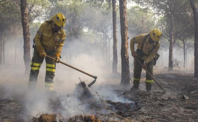 CCOO traslada su pésame por las víctimas del incendio de Los Gallardos: “Las políticas de prevención son insuficientes. Habrá que analizar qué ha fallado para que ocurra esta tragedia”