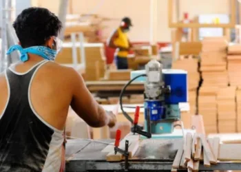 Cuba actualiza marco jurídico para revitalizar empresas estatales y cooperativas agropecuarias