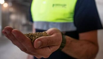 El Plan Estatal de Fertilizantes amenaza la soberanía alimentaria y el futuro del sector agrario