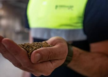 El Plan Estatal de Fertilizantes amenaza la soberanía alimentaria y el futuro del sector agrario