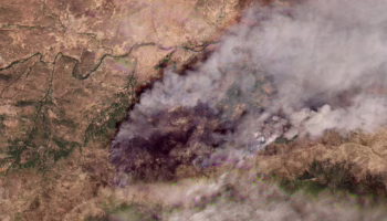 Incendios: desde la naturaleza a los de la extrema derecha