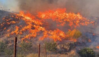 Antonio Maíllo exige explicaciones a Moreno Bonilla por el incendio de Almería: “No consentiremos otra huida hacia adelante como con los cribados”