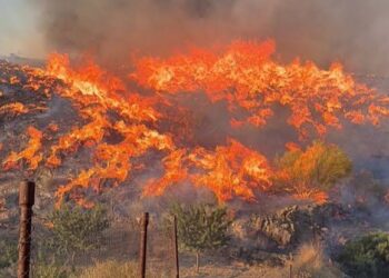 Antonio Maíllo exige explicaciones a Moreno Bonilla por el incendio de Almería: “No consentiremos otra huida hacia adelante como con los cribados”