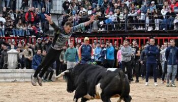 La Asociación Altertaurinas de Tudela de Duero denuncia la falta de respuesta del Ayuntamiento a sus solicitudes para organizar actividades alternativas a los encierros durante las fiestas