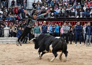 La Asociación Altertaurinas de Tudela de Duero denuncia la falta de respuesta del Ayuntamiento a sus solicitudes para organizar actividades alternativas a los encierros durante las fiestas