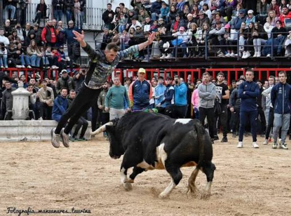 La Asociación Altertaurinas de Tudela de Duero denuncia la falta de respuesta del Ayuntamiento a sus solicitudes para organizar actividades alternativas a los encierros durante las fiestas