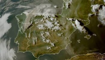 FSC-CCOO reclama que se mejore la gestión de los incendios forestales