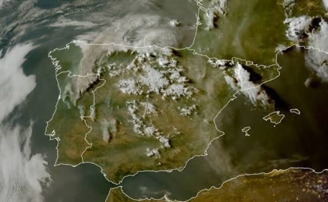 FSC-CCOO reclama que se mejore la gestión de los incendios forestales