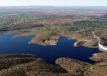 El Partido Verde exige soluciones urgentes ante el reconocimiento, por fin, de la crisis sanitaria y ecológica en el embalse de La Colada
