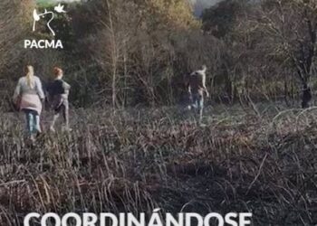 PACMA propone al Ministerio del Interior una coordinación centralizada para atender y evacuar animales en las zonas afectadas por los incendios