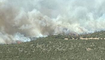 Izquierda Unida exige responsabilidades políticas y una política forestal de prevención real tras el incendio de la Sierra Norte de Guadalajara