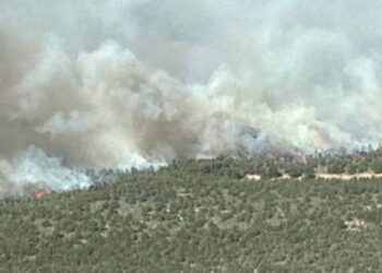 Izquierda Unida exige responsabilidades políticas y una política forestal de prevención real tras el incendio de la Sierra Norte de Guadalajara