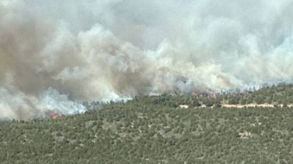Izquierda Unida exige responsabilidades políticas y una política forestal de prevención real tras el incendio de la Sierra Norte de Guadalajara