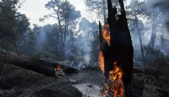 Izquierda Unida reclama que se garantice el permiso climático para las personas afectadas por los incendios de Ávila