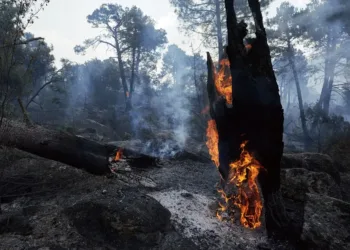 Izquierda Unida reclama que se garantice el permiso climático para las personas afectadas por los incendios de Ávila