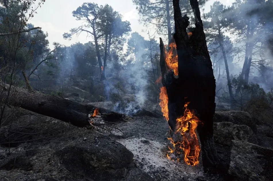 Izquierda Unida reclama que se garantice el permiso climático para las personas afectadas por los incendios de Ávila