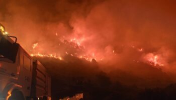 Ecologistas reclama «solidaridad, rigor y ciencia ante el drama de los incendios»