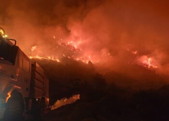 Ecologistas reclama «solidaridad, rigor y ciencia ante el drama de los incendios»