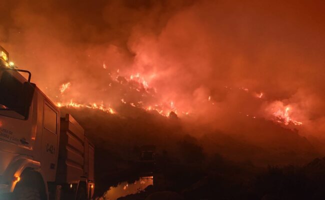 Ecologistas reclama «solidaridad, rigor y ciencia ante el drama de los incendios»
