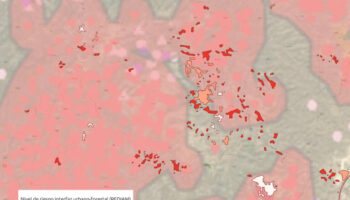 Ecologistas en Acción lamenta la pérdida de vidas humanas y muestra su solidaridad con quienes luchan contra el incendio de Almería