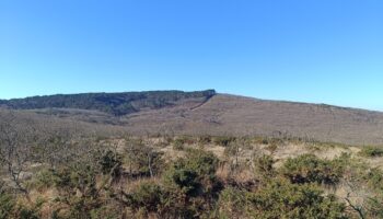 Cantanarrás reproduce, en esencia, el macropolígono de Fonsanta, rechazado ambientalmente en 2023