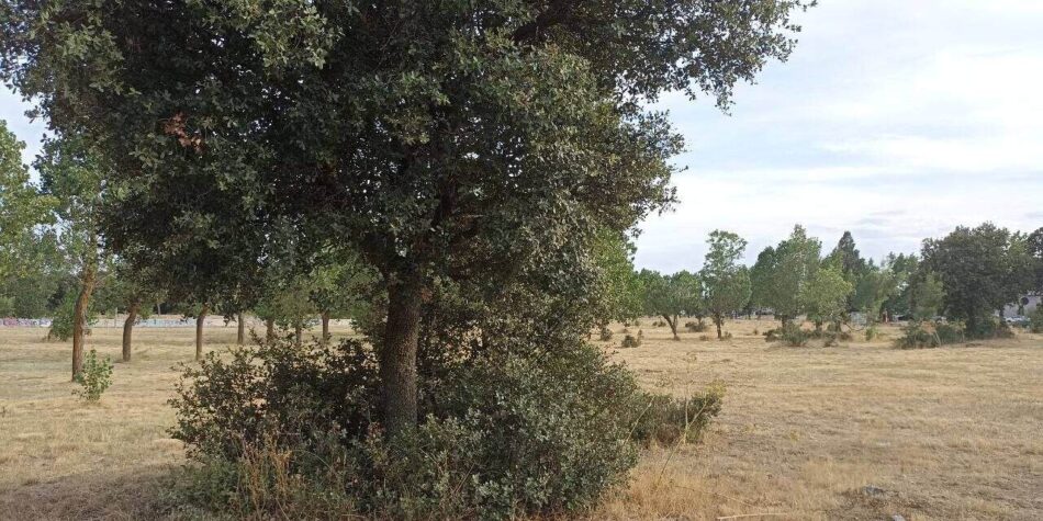 Ecologistas en Acción rechaza los planes de la alcaldía de Collado Villalba, que pretenden convertir en suelo urbanizable suelos protegidos junto al hospital de Quirón