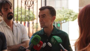 Antonio Maíllo exige que Almería no sea olvidada y reclama ayudas directas y recursos para reconstruir la zona arrasada por el incendio