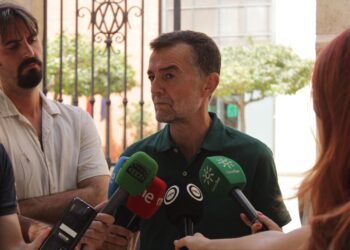 Antonio Maíllo exige que Almería no sea olvidada y reclama ayudas directas y recursos para reconstruir la zona arrasada por el incendio
