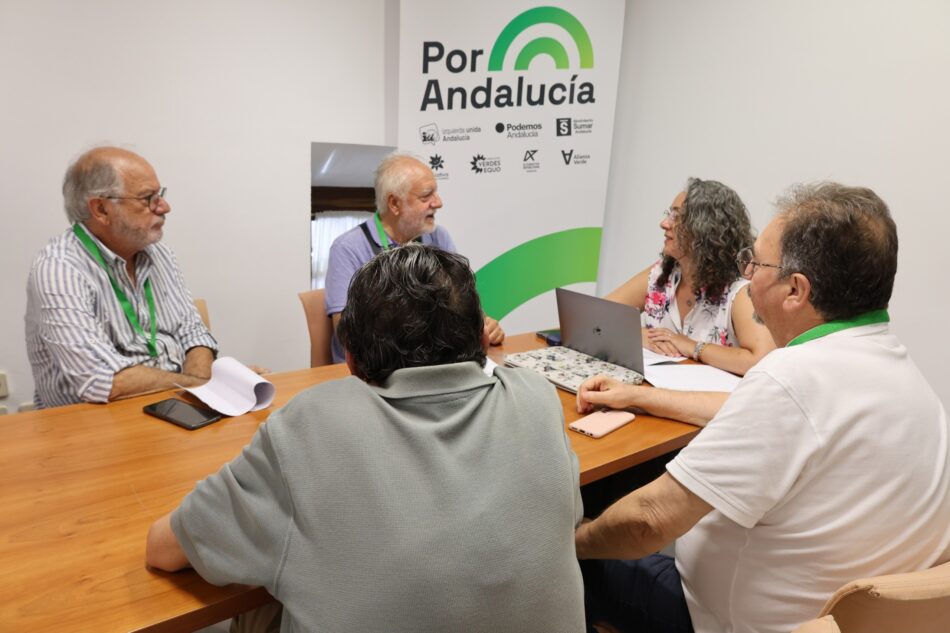 Rosa Rodríguez a Moreno Bonilla: “No se defiende a las familias abandonando a quienes necesitan cuidados”